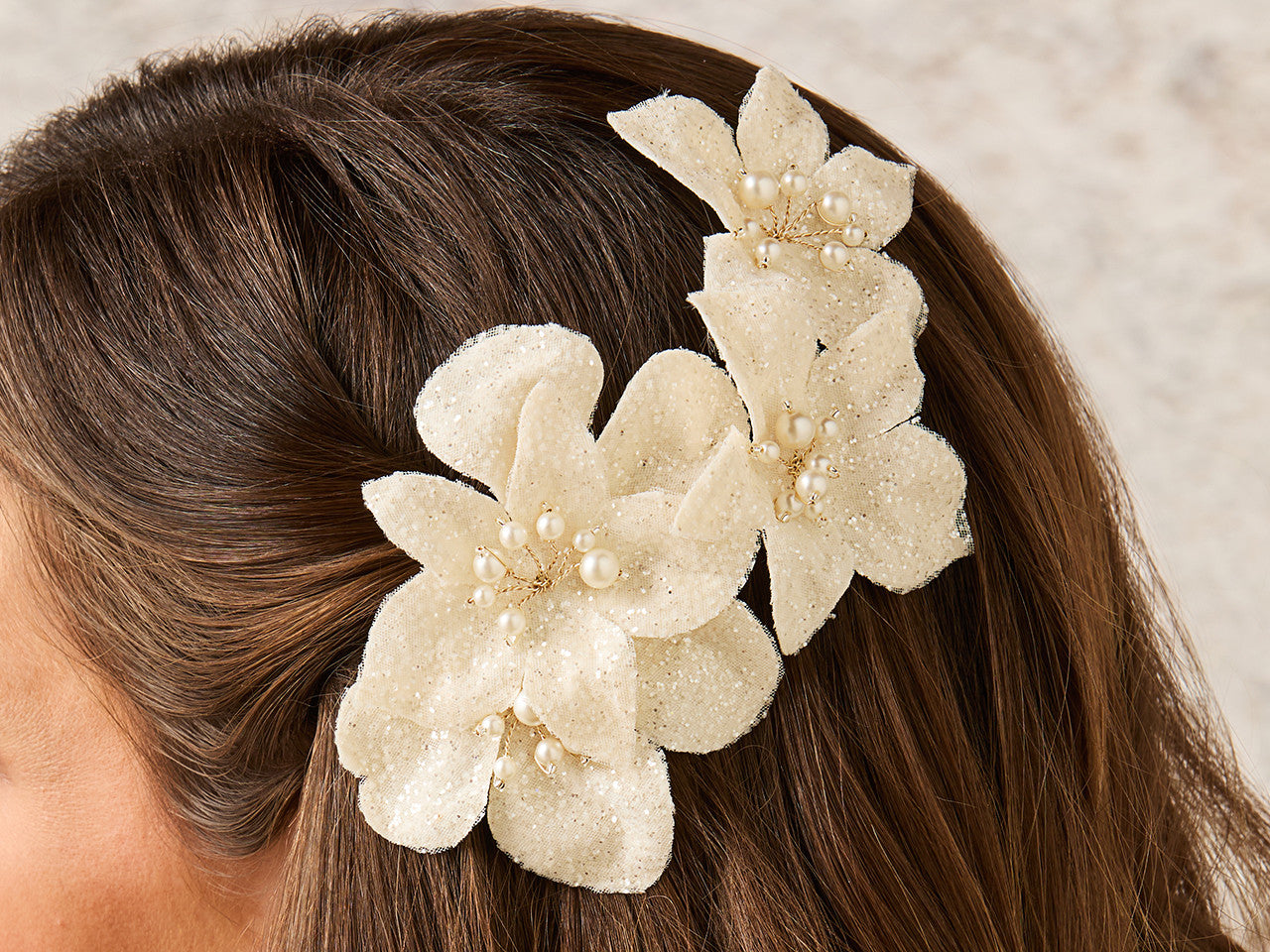 Bridal Haircomb HC2531