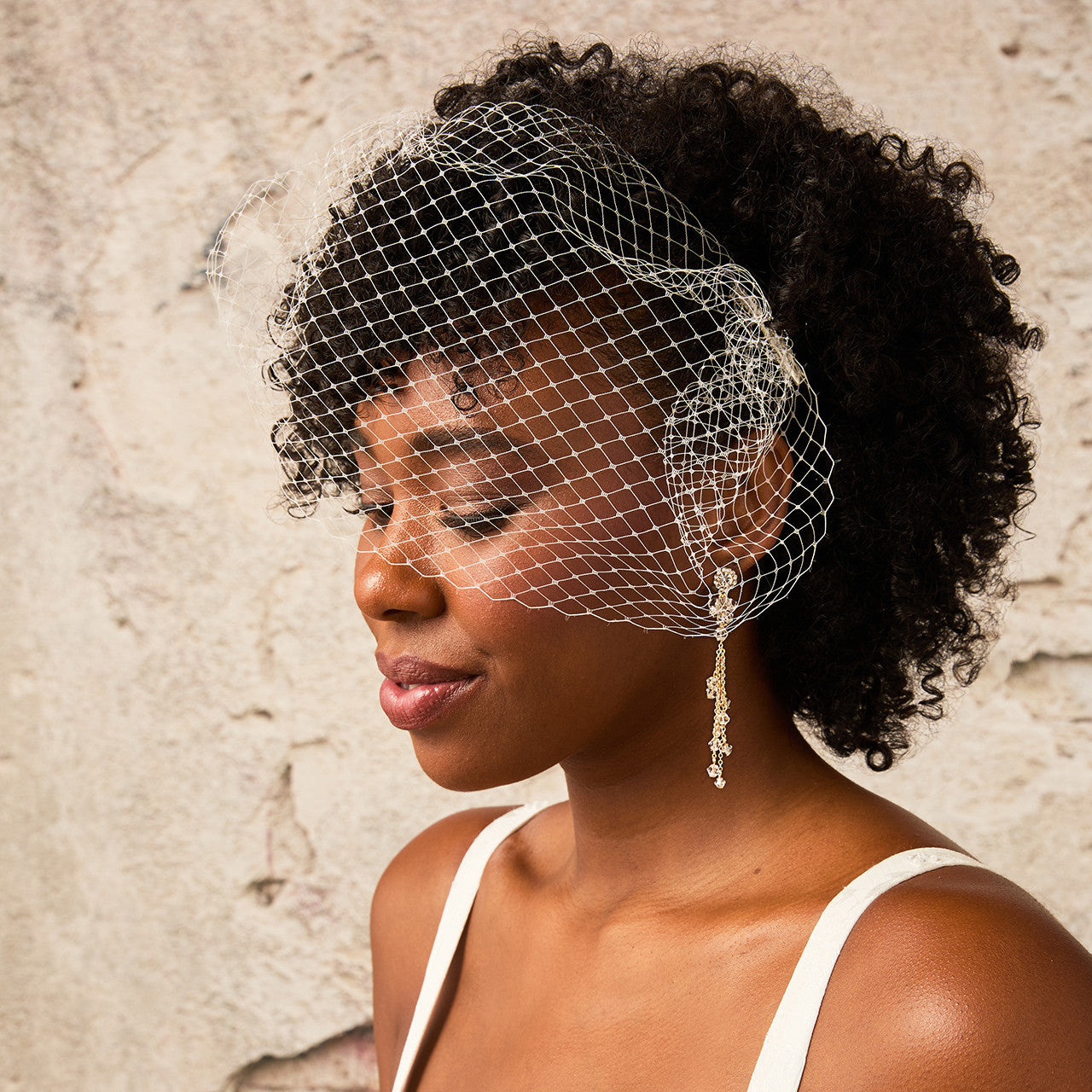 Bridal Cage Veil CV2660