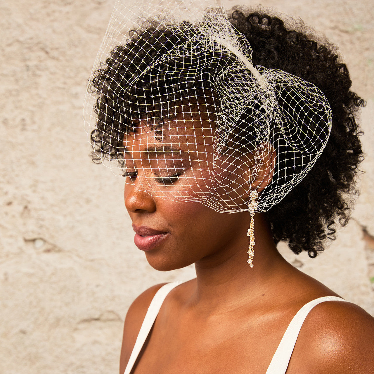 Bridal Cage Veil CV2661