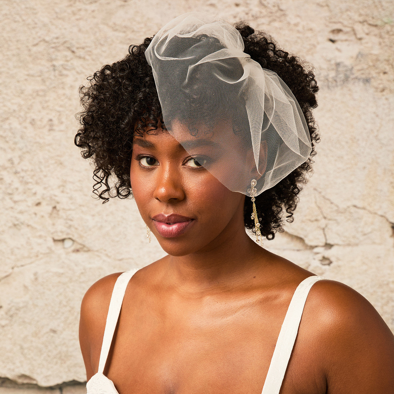 Bridal Cage Veil CV2661